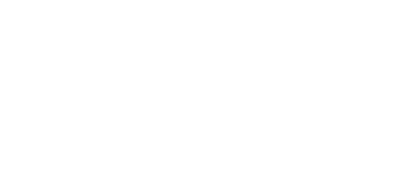 Texas 2036 Logo